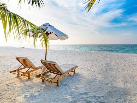 Turn Your Car Payment into a Million Dollar&nbsp;Retirement