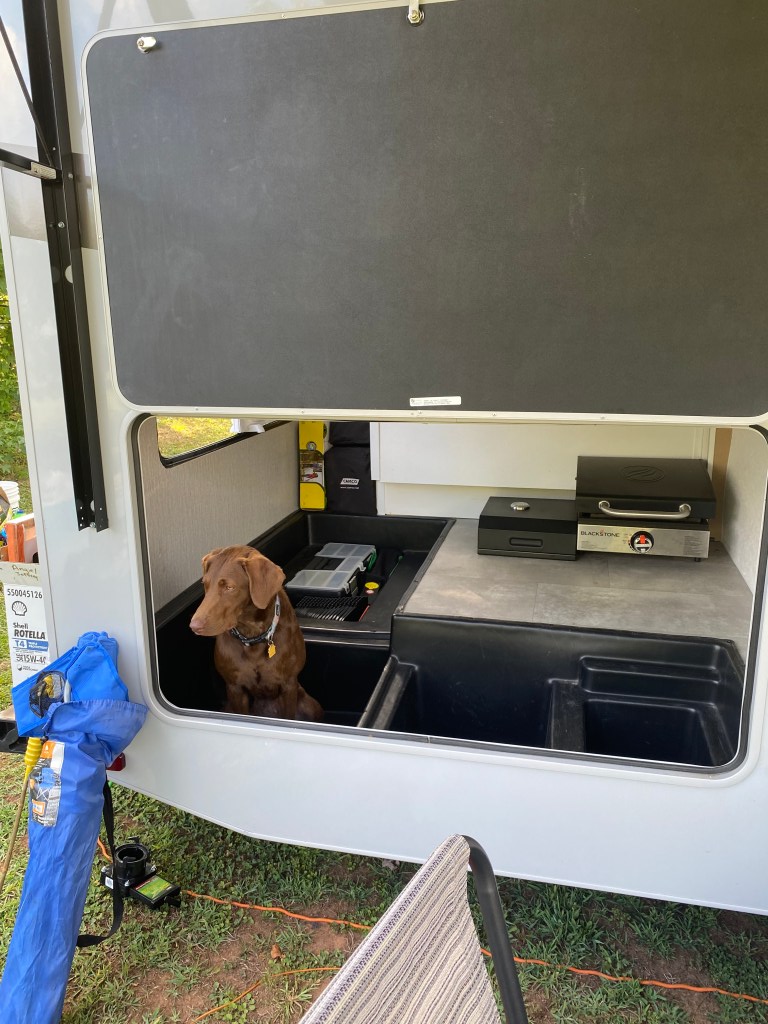 Luna in the storage compartment.