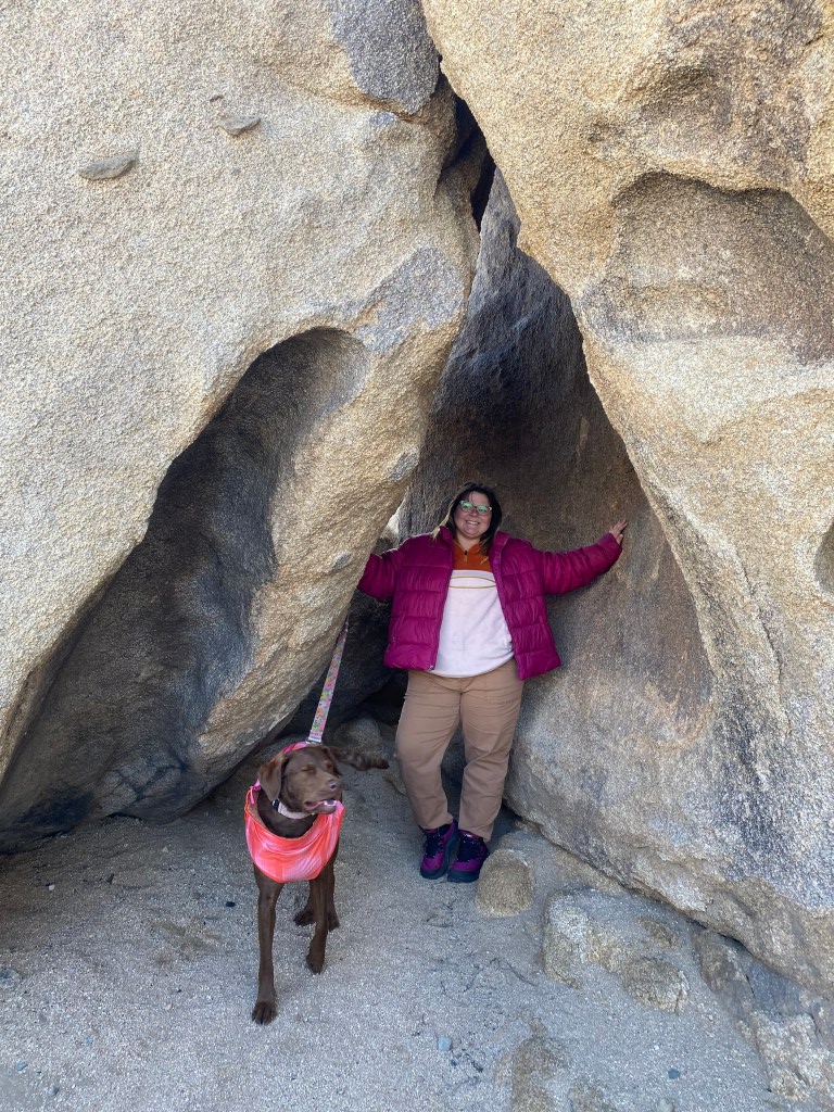A rock formation within a campground at Joshua Tree.