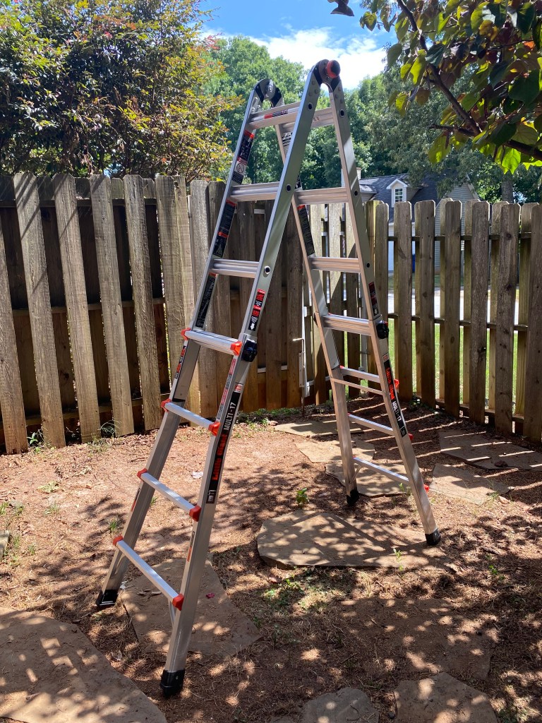 A ladder being sold for adventure.