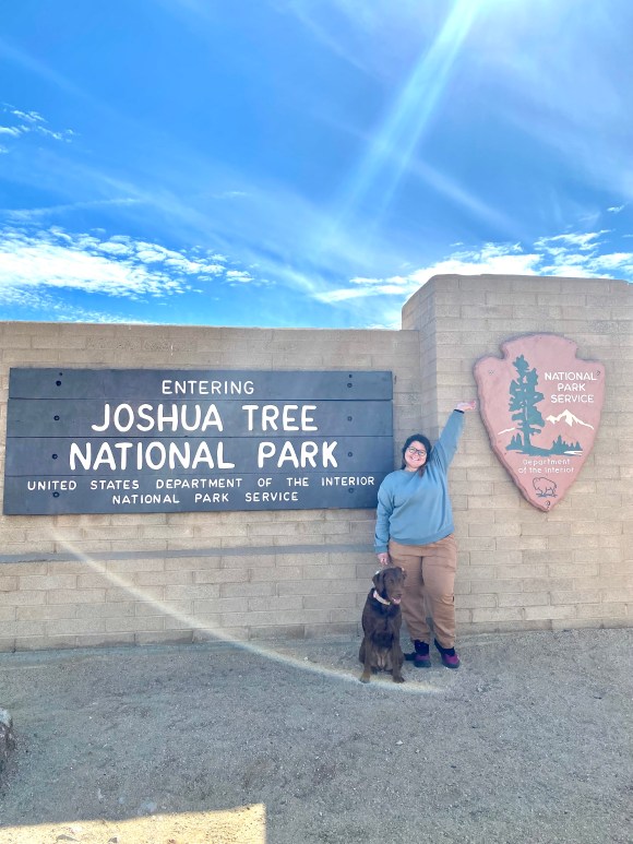 Joshua Tree National Park: A Snow&nbsp;Day