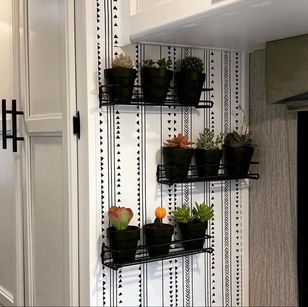 Plant wall with nine different succulents.